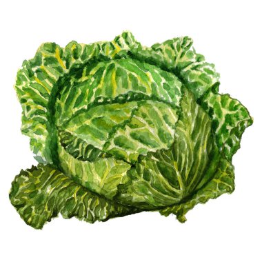 Suluboya el çekilmiş meyve simgesi