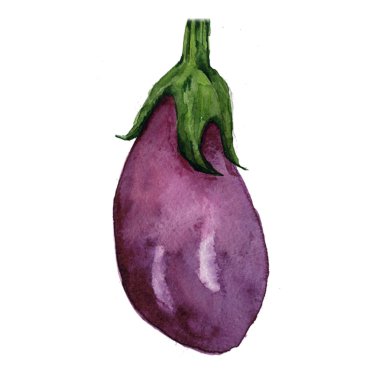 Suluboya el çizimi patlıcan