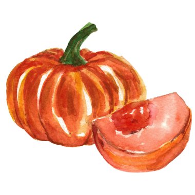 Suluboya el çizimi balkabağı