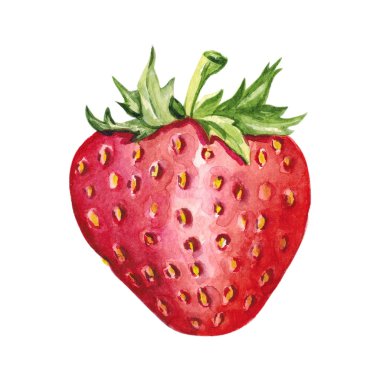 Suluboya elle çizilmiş çilek