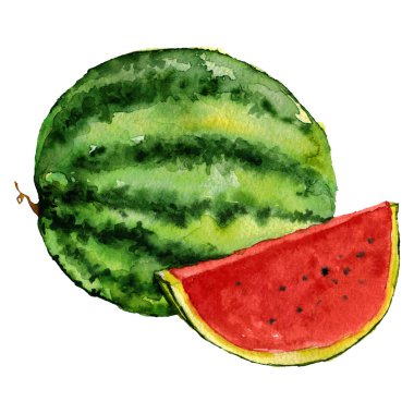 Suluboya karpuz simgesi