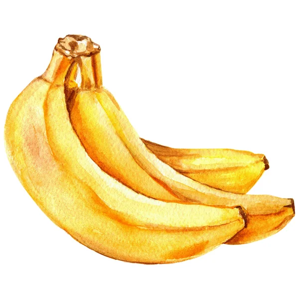 Dłoń akwarela ciągnione banan — Zdjęcie stockowe