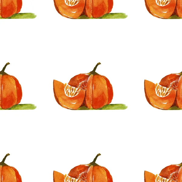 Aquarel Pumpkin Hand getekende afbeelding — Stockfoto