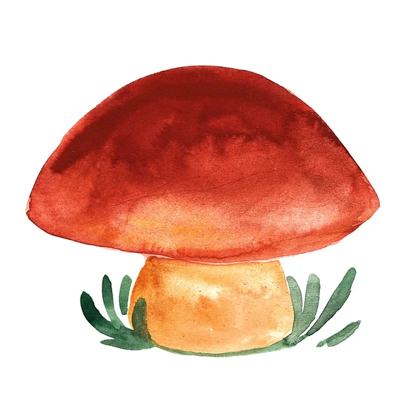 Икона оранжевого колпака с грибами — стоковое фото