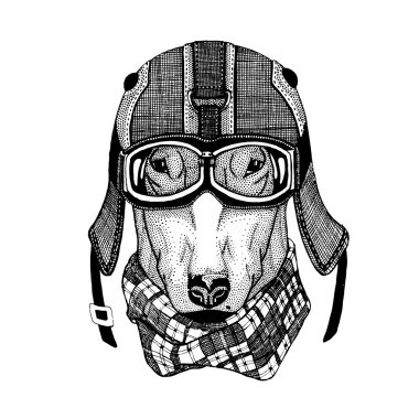 Köpekler için t-shirt tasarım motosiklet, Bisiklet, motosiklet, scooter kulübü, aero club için vintage vektör görüntüleri