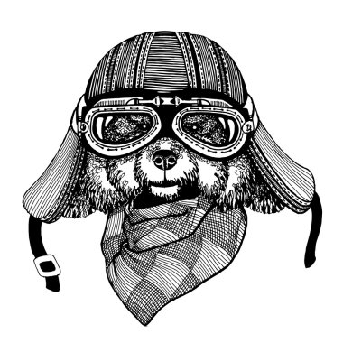 Köpekler için t-shirt tasarım motosiklet, Bisiklet, motosiklet, scooter kulübü, aero club için vintage vektör görüntüleri