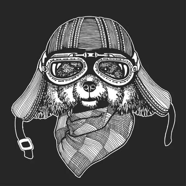 Imágenes vectoriales vintage de perros para el diseño de camisetas para motocicleta, bicicleta, moto, scooter club, aeroclub — Archivo Imágenes Vectoriales