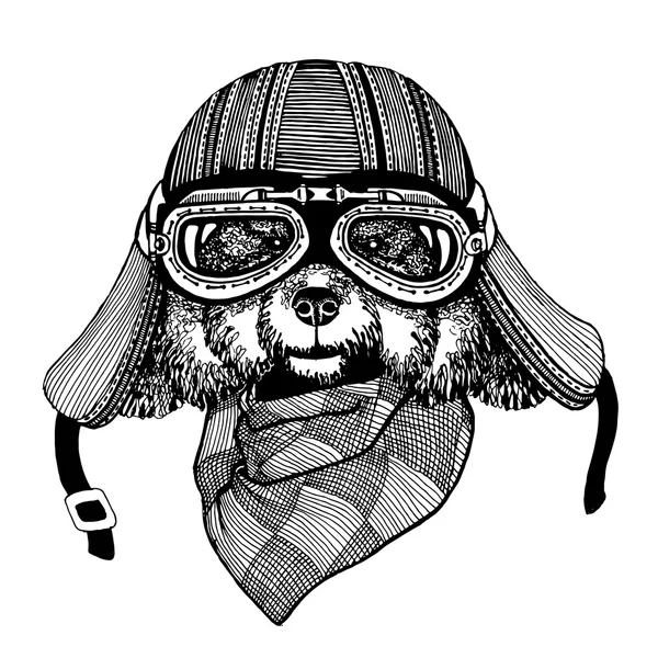 Immagini vettoriali vintage di cani per il design di t-shirt per moto, bici, moto, scooter club, club aero — Vettoriale Stock