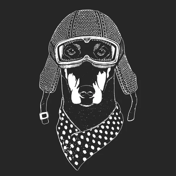 Immagini vettoriali vintage di cani per il design di t-shirt per moto, bici, moto, scooter club, club aero — Vettoriale Stock