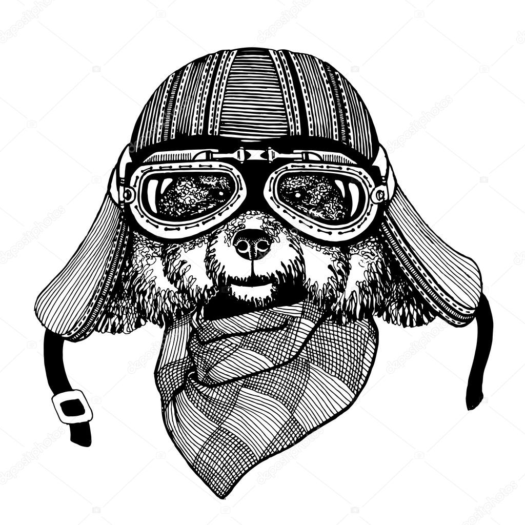 Vintage vector images of dogs for t-shirt design for motorcycle, bike, motorbike, scooter club, aero club