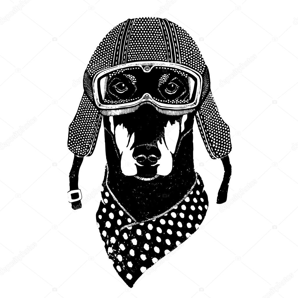 Vintage vector images of dogs for t-shirt design for motorcycle, bike, motorbike, scooter club, aero club