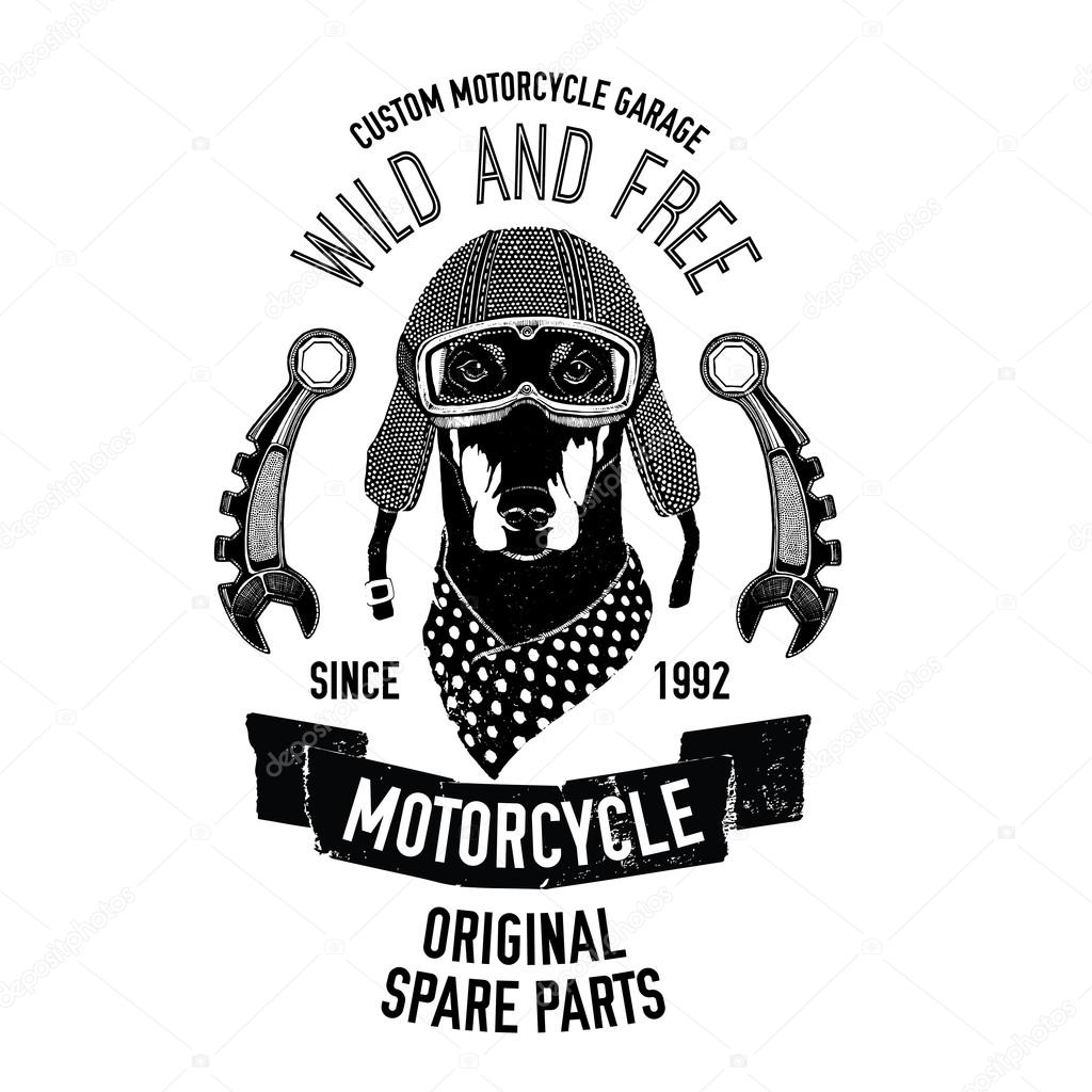 Biker quote with dog for garage, service, t-shirt, spare parts Vector image