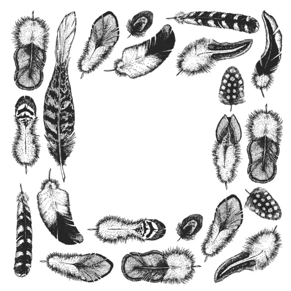 Conjunto de plumas étnicas. Diseño decorativo. Plumas de pájaros, estilo boho chic. Patrón de ornamento tribal. — Archivo Imágenes Vectoriales