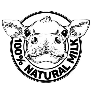 İnekler. Doğal Süt. Süt çiftliği. Etiket, poster ve logoti için klasik vektör oymacılığı. Beyaz arkaplanda izole