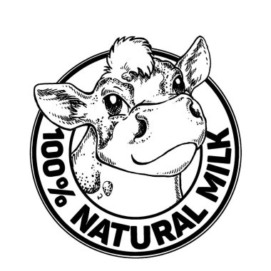 İnekler. Doğal Süt. Süt çiftliği. Etiket, poster ve logoti için klasik vektör oymacılığı. Beyaz arkaplanda izole