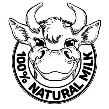 İnekler. Doğal Süt. Süt çiftliği. Etiket, poster ve logoti için klasik vektör oymacılığı. Beyaz arkaplanda izole