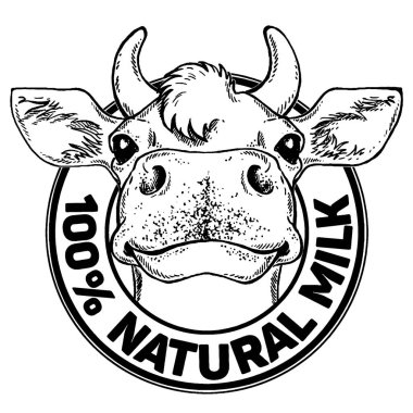 İnekler. Doğal Süt. Süt çiftliği. Etiket, poster ve logoti için klasik vektör oymacılığı. Beyaz arkaplanda izole