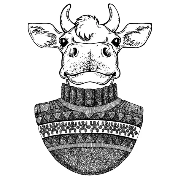 Vector Nieuwjaar illustratie met een stier. Nieuwjaarskaart met stier. Een stier in trui. Sjabloon voor het nieuwe jaar, Kerstmis. — Stockvector