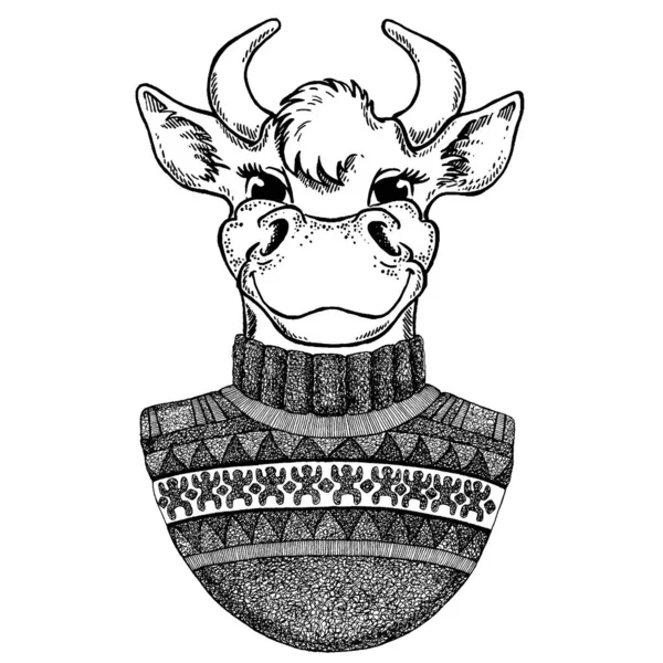 雄牛とベクトル新年のイラスト.牛と一緒に新年の冬のカード。セーターを着て。お正月用のテンプレートクリスマス. — ストックベクタ