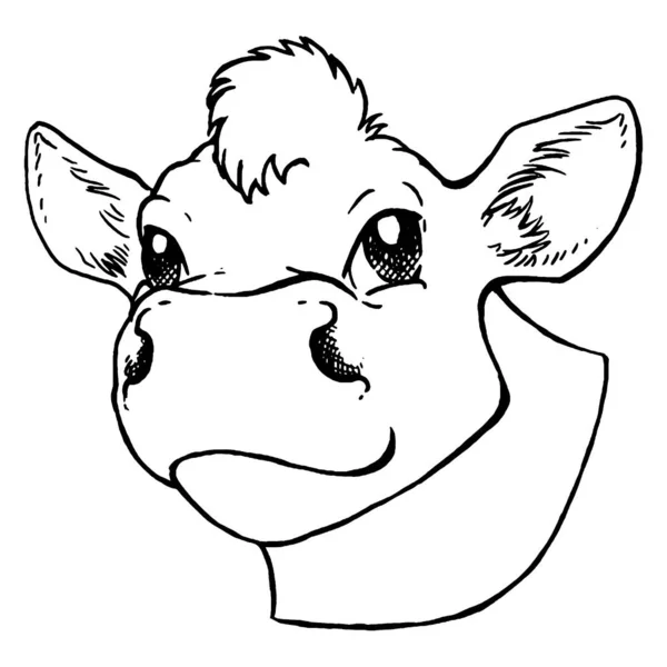 Esbozo en blanco y negro de la cara de una vaca. Retrato vectorial. — Archivo Imágenes Vectoriales