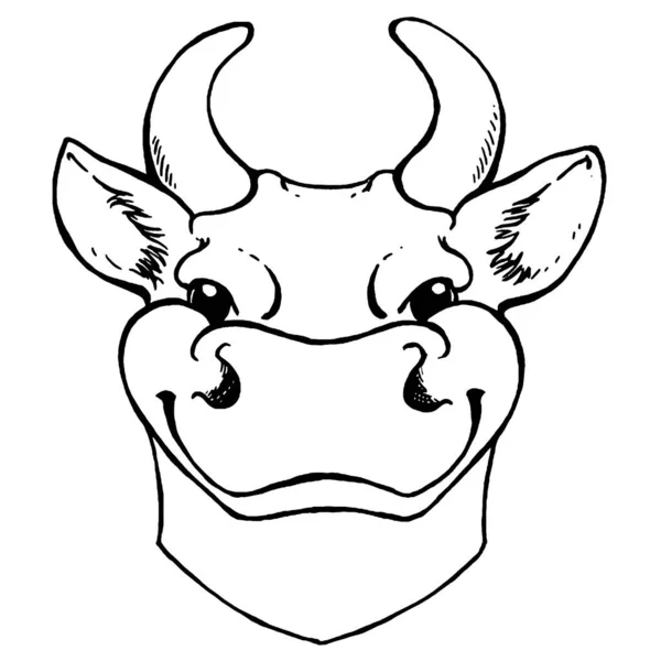 Esbozo en blanco y negro de la cara de una vaca. Retrato vectorial. — Archivo Imágenes Vectoriales