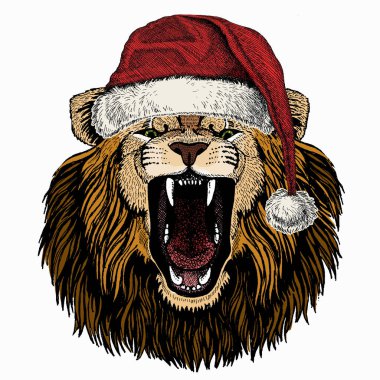 Noel kış hayvanı. Aslan kafalı. Noel Baba 'nın kırmızı şapkası. Vahşi Afrika hayvanının portresi.