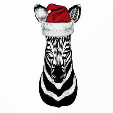 Zebra vektör portresi. Noel Baba 'nın kırmızı şapkası. Afrikalı vahşi hayvan zebranın başı..