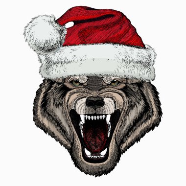 Kurt portresi. Noel Baba 'nın kırmızı şapkası. Havalı vahşi kurt. Hayvan kafası..