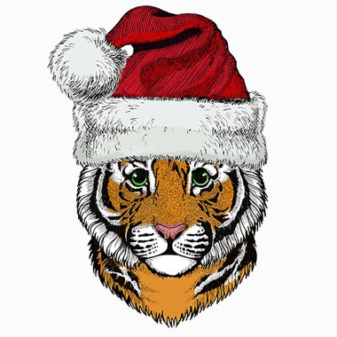 Yavru kaplan, çocuklar için küçük bir kaplan. Noel kış hayvanı. Noel Baba kırmızı şapkası.