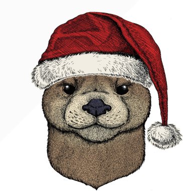 Su samurunun portresi. Kırmızı Noel Baba şapkası. Vahşi hayvanların başı. Noel kış hayvanı.