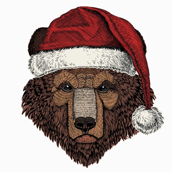 Christmas winter animal. Bear wild animal face. Christmas red Santa Claus hat. Grizzly cute brown bear head portrait. — Vector de stock
