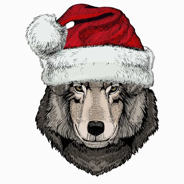 Vektorporträt des Wolfes. Weihnachten rote Nikolausmütze. Cooler wilder Wolf. Tierkopf. — Stockvektor