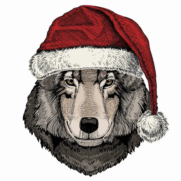 Vector portrait of wolf. Christmas red Santa Claus hat. Cool wild wolf. Animal head. — Stock Vector