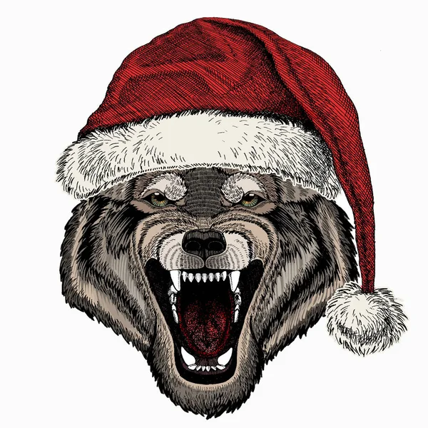 狼的矢量肖像。圣诞红帽。酷野狼。动物头. — 图库矢量图片