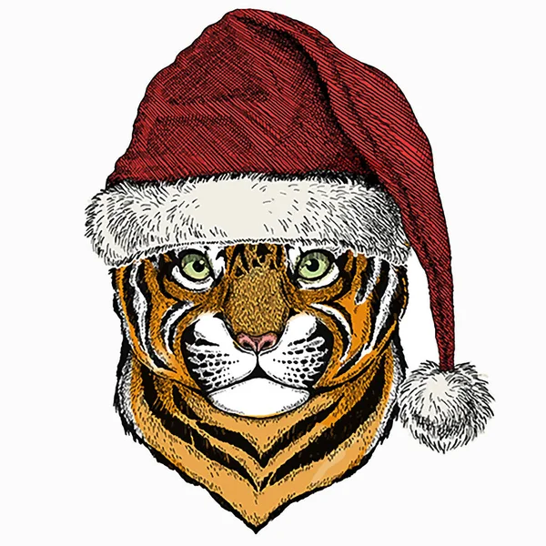 Baby tijger, kleine tijger voor kinderen. Kerstdier. Kerstrood Kerstman hoed. — Stockvector