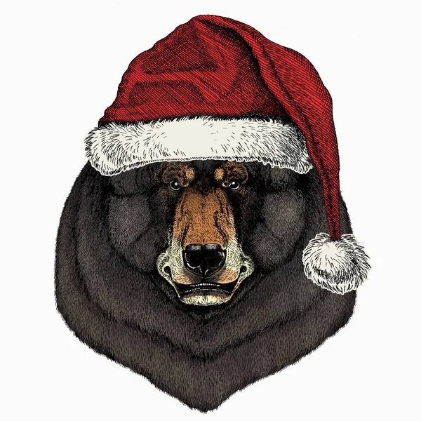 Animaux d'hiver de Noël. Ours visage d'animal sauvage. Chapeau de Noël rouge du Père Noël. Grizzly mignon portrait tête d'ours brun. — Image vectorielle