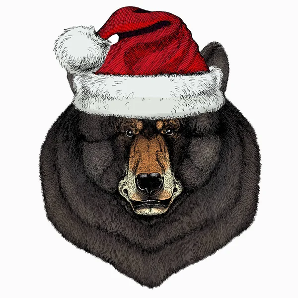 Animaux d'hiver de Noël. Ours visage d'animal sauvage. Chapeau de Noël rouge du Père Noël. Grizzly mignon portrait tête d'ours brun. — Image vectorielle