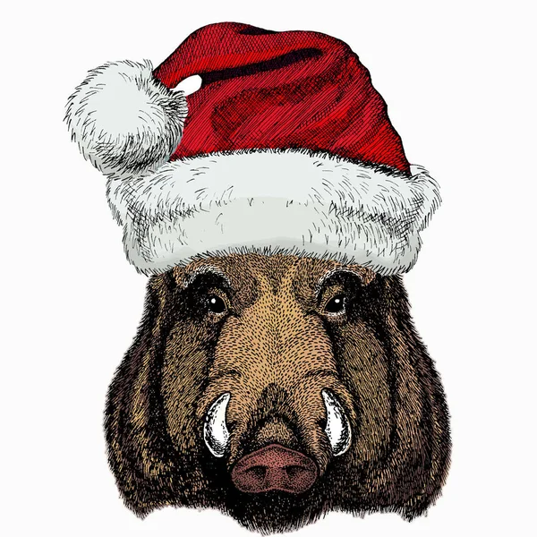 Vaddisznó, disznó, disznó. Karácsonyi piros Mikulás kalap. Állatfej, portré. Karácsonyi téli állat. — Stock Vector