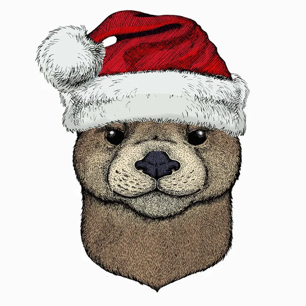 Vidra vektorportréja. Vörös Mikulás kalap. A vadállat feje. Karácsonyi téli állat. — Stock Vector