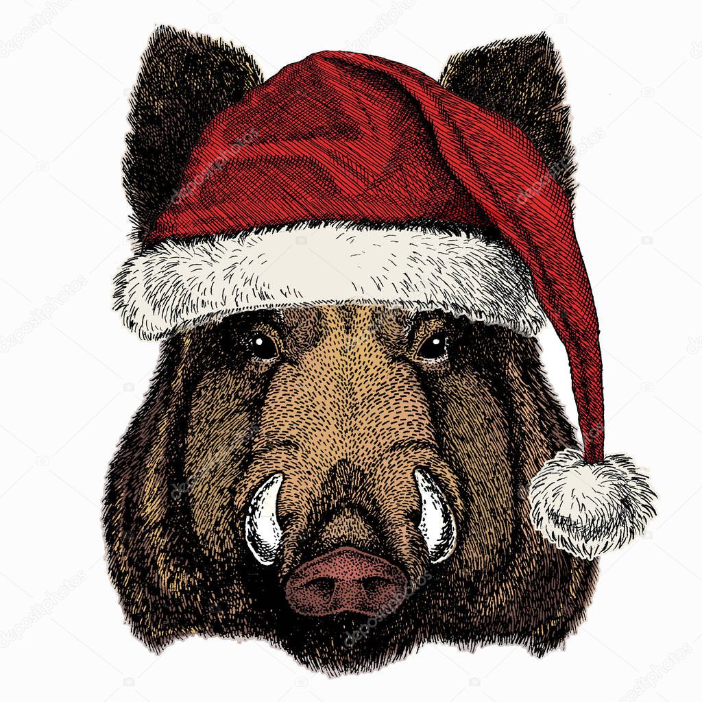 Christmas red Santa Claus hat. Animal portrait.