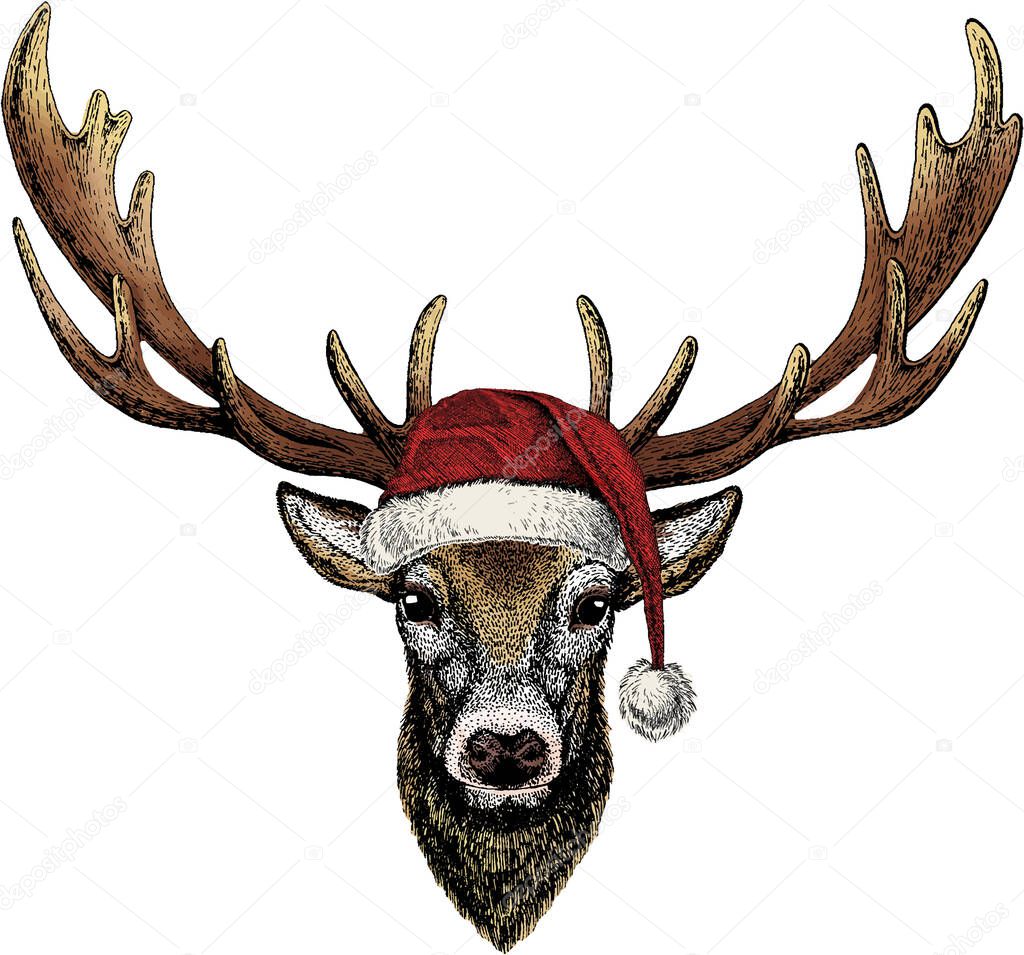 Vector portrait of deer. Christmas red Santa Claus hat. Woodland animal head.