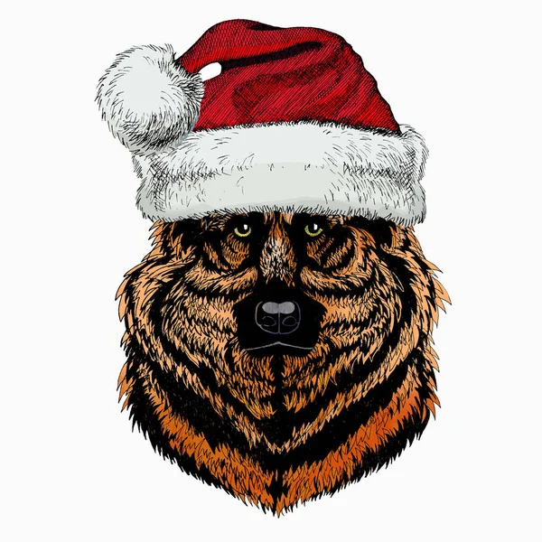 Shepherd Dog vectorportret. Kerst rode Kerstman hoed. Hondenkop, gezicht. Kerst winter dier. — Stockvector