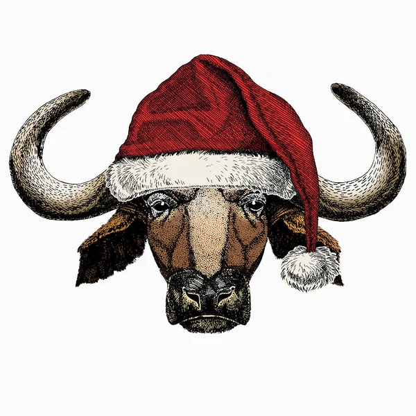 野牛野牛吉祥物头。圣诞红帽。圣诞冬季动物肖像. — 图库矢量图片