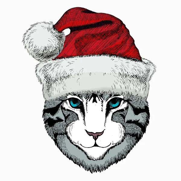 Kattenkop. Kerst rode Kerstman hoed. Kerst winter dier vector portret. — Stockvector