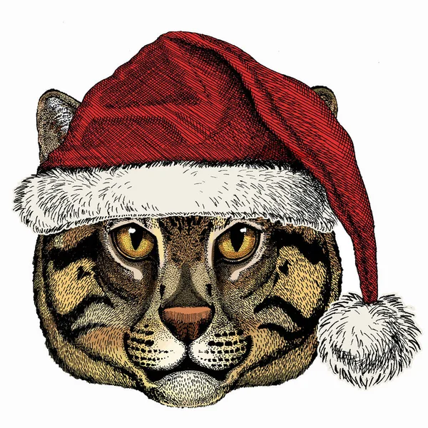 Kattenkop. Kerst rode Kerstman hoed. Kerst winter dier vector portret. — Stockvector