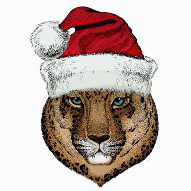 Leopar kafa. Noel Baba 'nın kırmızı şapkası. Vahşi kedi. Noel kış hayvan vektör portresi.