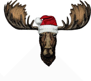 Vahşi geyik, geyik portresi. Noel kış hayvan vektör portresi.