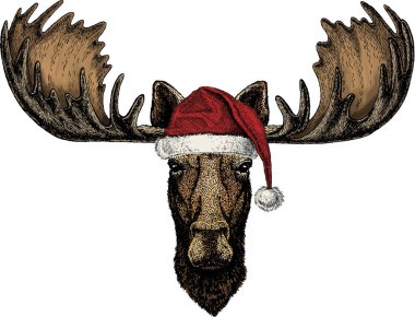 Vahşi geyik, geyik portresi. Noel kış hayvan vektör portresi.