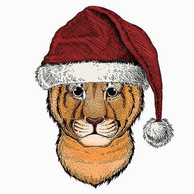 Küçük yavru aslanın portresi, yüzü. Noel kış hayvan vektör portresi.
