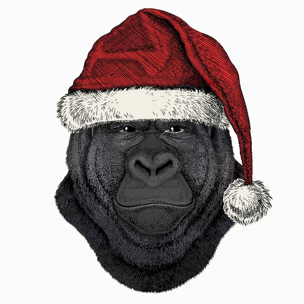 Gorilla hoofd. Kerst rode Kerstman hoed. Kerst winter dier vector portret. — Stockvector